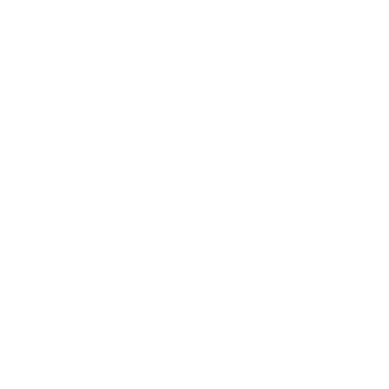 Mister Multas